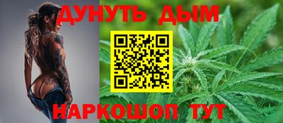 индика Кингисепп