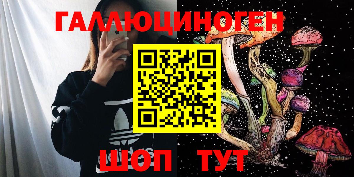 Псилоцибиновые грибы GOLDEN TEACHER  Псилоцибиновые грибы MAGIC MUSHROOMS  Вход с VPN  Кудымкар 